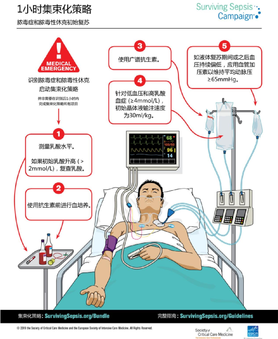 器官支持2